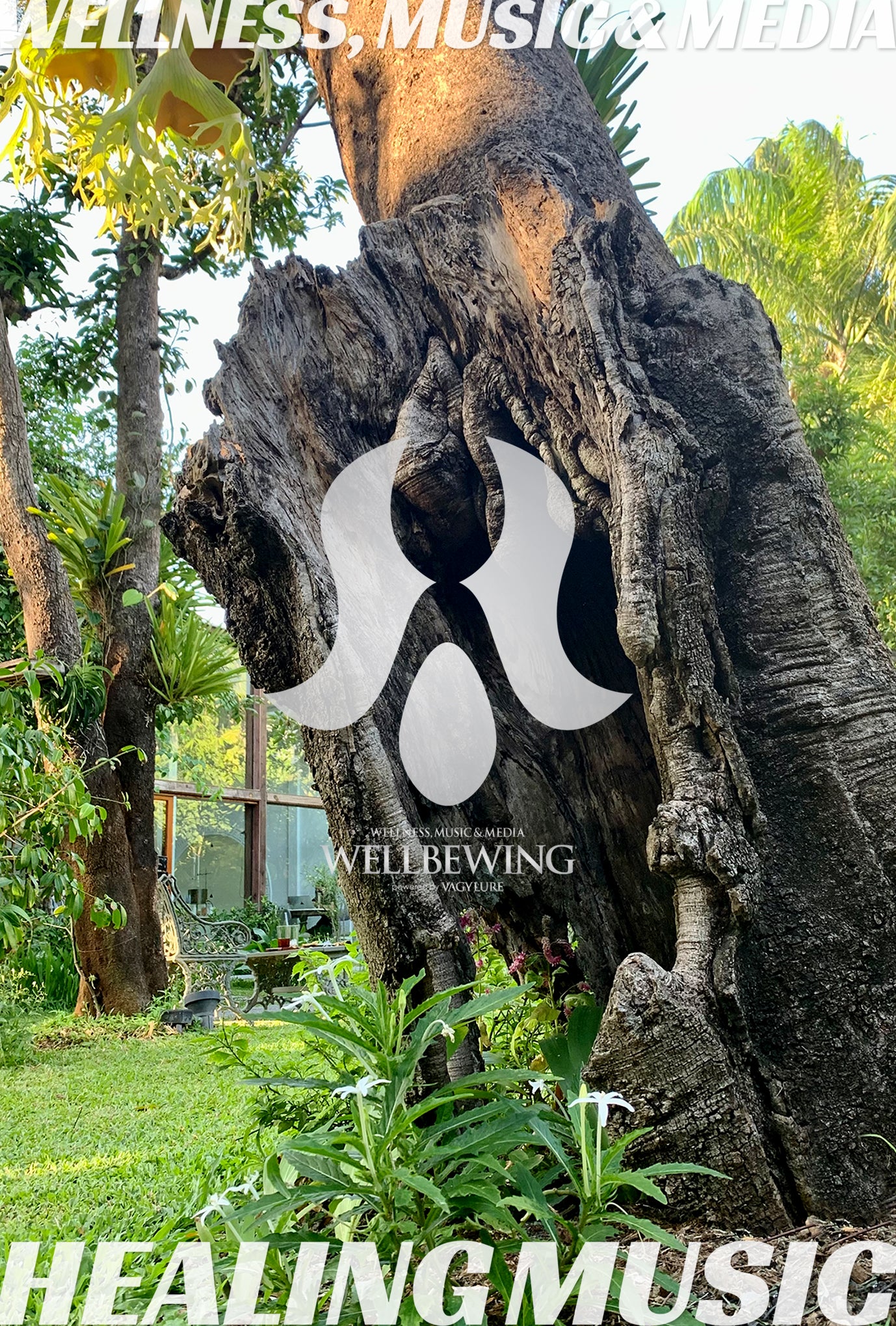 商用BGM 店舗BGM WELLBEWING® VGY series with YOGINI STYLE® Powered by VAGYLURE® Inc.