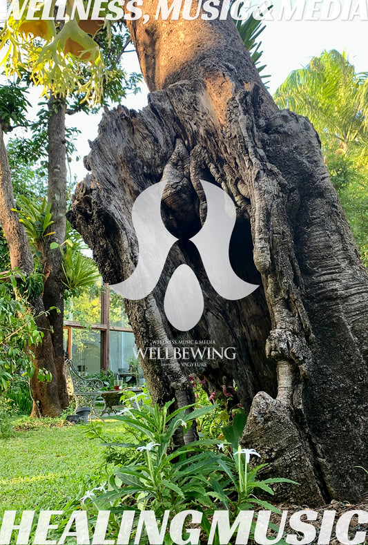 商用BGM 店舗BGM WELLBEWING® VGY series with YOGINI STYLE® Powered by VAGYLURE® Inc.